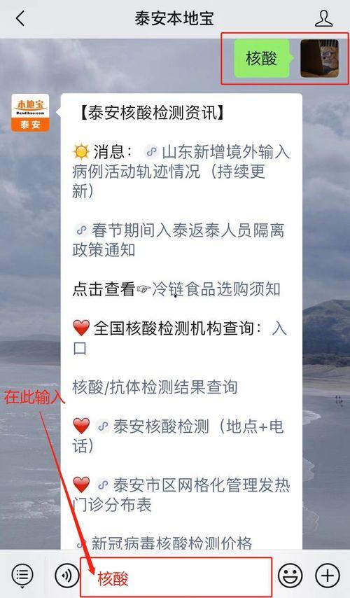 泰安核酸爆料事件视频,视频揭露惊人真相 第2张 泰安核酸爆料事件视频,视频揭露惊人真相 第2张