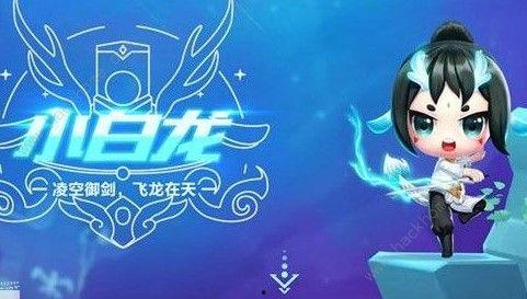 小白龙爆料蔻蔻视频,蔻蔻视频背后的惊人真相